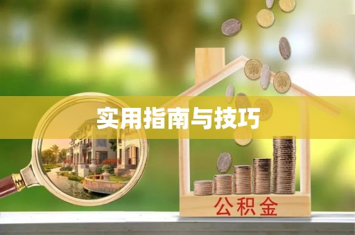 平桂实用指南与技巧