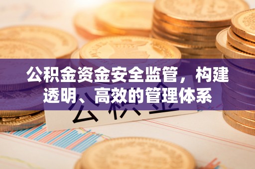 平桂公积金资金安全监管，构建透明、高效的管理体系