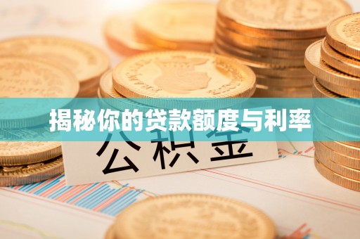 平桂揭秘你的贷款额度与利率
