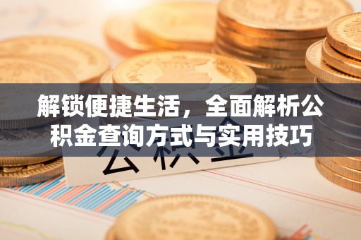 平桂解锁便捷生活，全面解析公积金查询方式与实用技巧