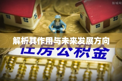 平桂解析其作用与未来发展方向